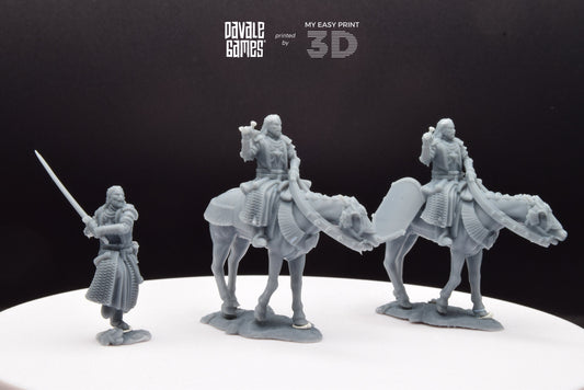 High Human Prince - Foot and Mounted - Davale Games - 3D Printed with high quality resin for LOTR/D&D games