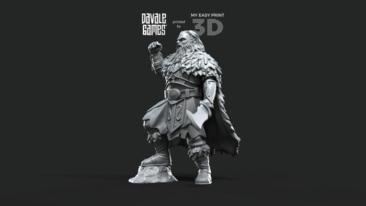 Frederic The Lord - Fellmount Reavers - Davale Games - 3D Printed with high quality resin for LOTR/D&D games