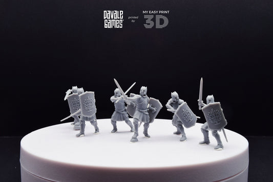 Grey Castle Warriors with swords - Davale Games - 3D Printed with high quality resin for LOTR/D&D games