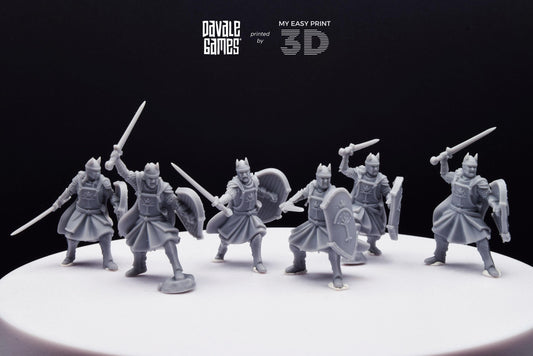 High Human Warrior with Sword and Shield - Davale Games - 3D Printed with high quality resin for LOTR/D&D games