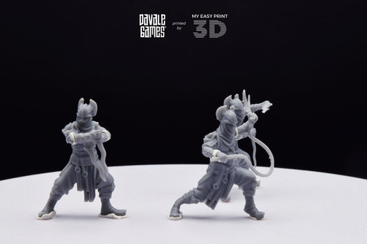 Dragon Army Assassin - Davale Games - 3D Printed with high quality resin for LOTR/D&D games