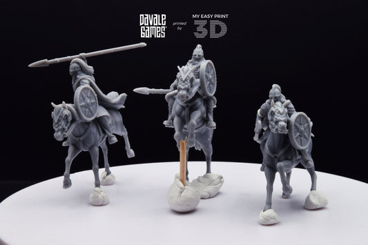 West Human Royal Guard - Mounted - Davale Games - 3D Printed with high quality resin for LOTR/D&D games