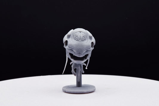 Doom Cacodemon Miniature - Fanmade - TheSTLSmith - 3D Printed with high quality resin for Skirmish/D&D games