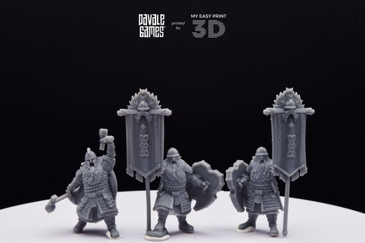 Kingdom Champion Dwarf and Banner - Davale Games - 3D Printed with high quality resin for LOTR/D&D games