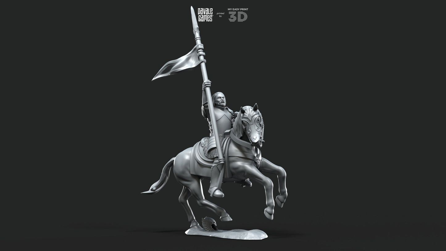 Grey Castle Captain - Foot and Mounted - Davale Games - 3D Printed with high quality resin for LOTR/D&D games