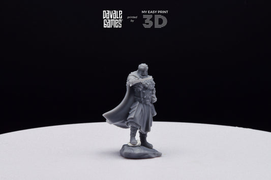 Last king from the North - Davale Games - 3D Printed with high quality resin for LOTR/D&D games