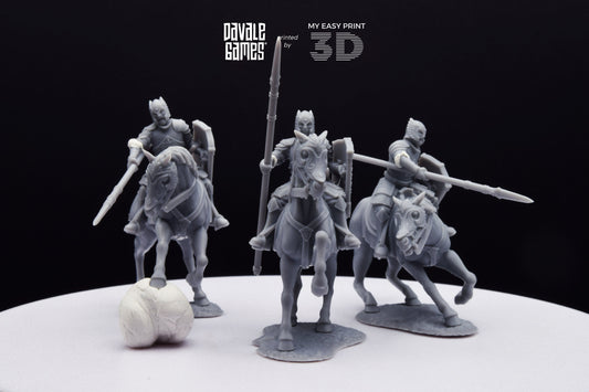 Grey Castle Knights - Davale Games - 3D Printed with high quality resin for LOTR/D&D games