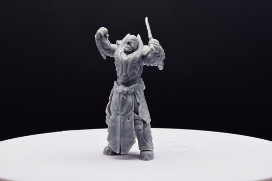 Gears Of War General Raam Ot Miniature - NEOYGEO - 3D Printed with high quality resin for Skirmish/D&D games