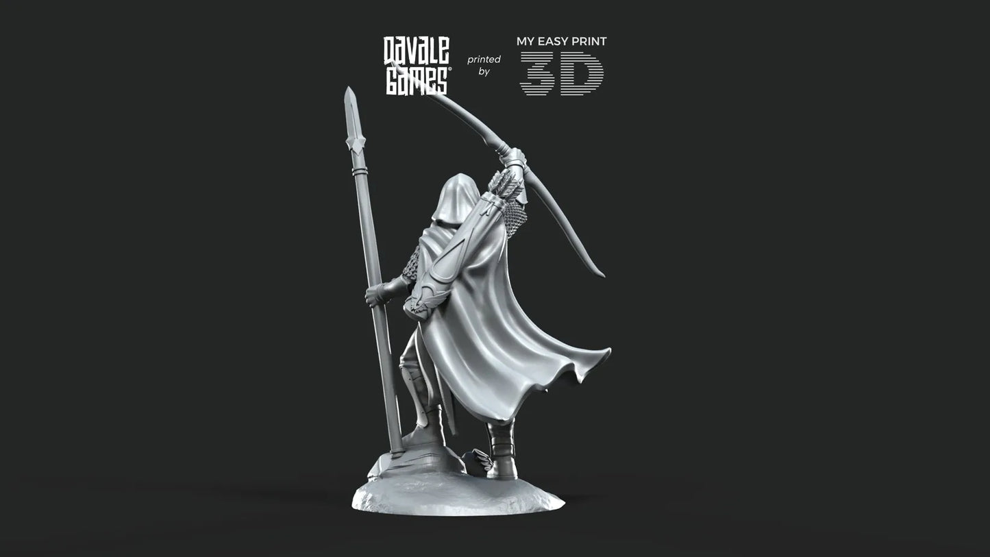 White Swan - Danher on foot - Davale Games - 3D Printed with high quality resin for LOTR/D&D games