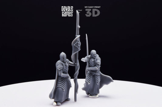Bloody Elf Commander - Davale Games - 3D Printed with high quality resin for LOTR/D&D games