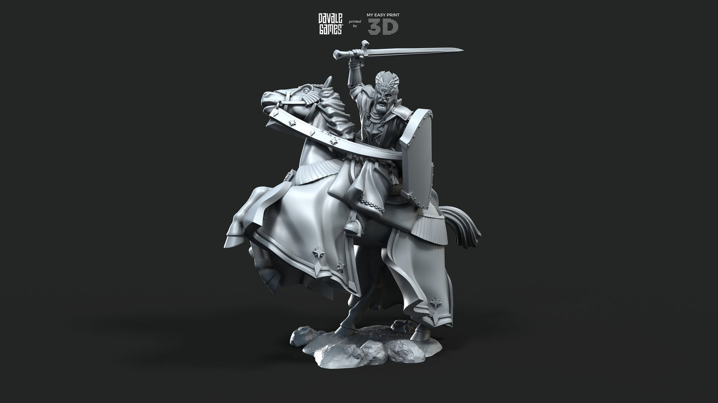 High Human King with Helmet - Foot and Mounted - Davale Games - 3D Printed with high quality resin for LOTR/D&D games