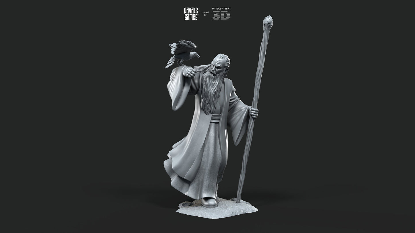 Blood-Handed Mage - Foot and Mounted - Davale Games - 3D Printed with high quality resin for LOTR/D&D games