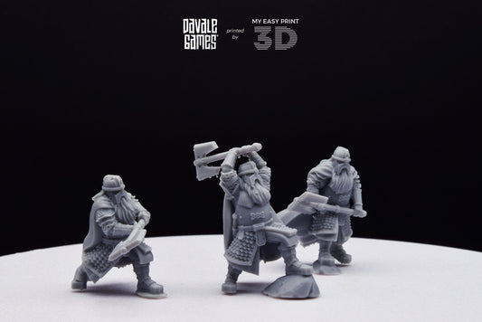 Kalak Dwarf King Guard - Davale Games - 3D Printed with high quality resin for LOTR/D&D games