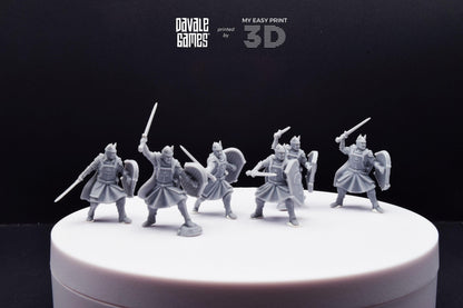 High Human Warrior with Sword and Shield - Davale Games - 3D Printed with high quality resin for LOTR/D&D games
