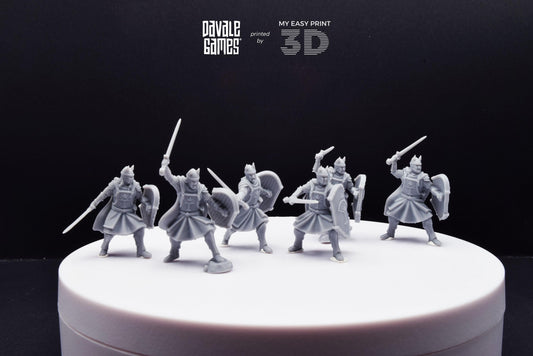 High Human Warrior with Sword and Shield - Davale Games - 3D Printed with high quality resin for LOTR/D&D games