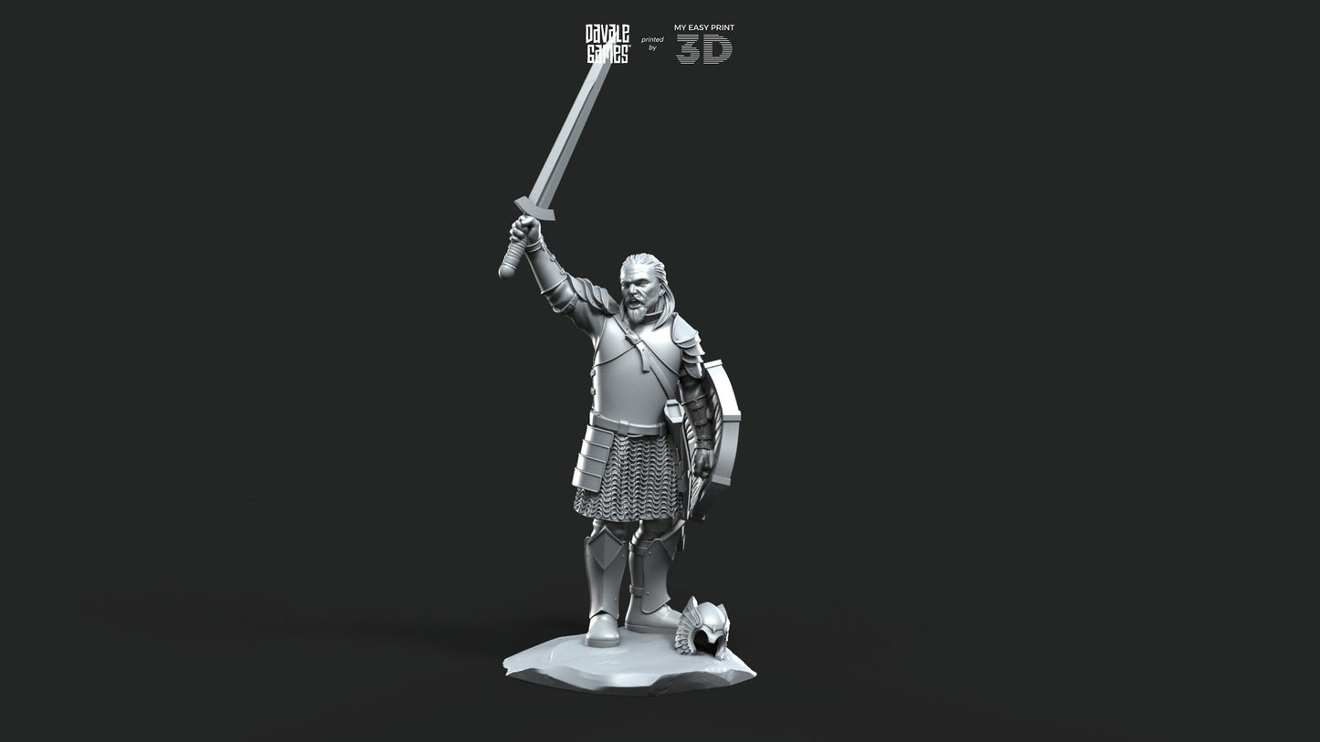 Grey Castle Captain [Ver. 2] - Foot and Mounted - Davale Games - 3D Printed with high quality resin for LOTR/D&D games