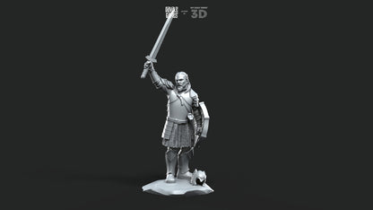 Grey Castle Captain [Ver. 2] - Foot and Mounted - Davale Games - 3D Printed with high quality resin for LOTR/D&D games