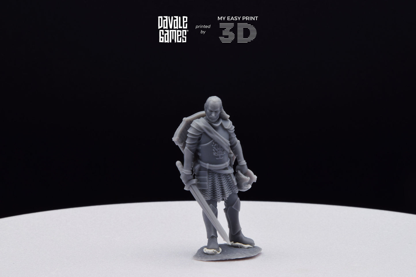 Veteran Grey Castle Captain [Ver. 1] - Davale Games - 3D Printed with high quality resin for LOTR/D&D games