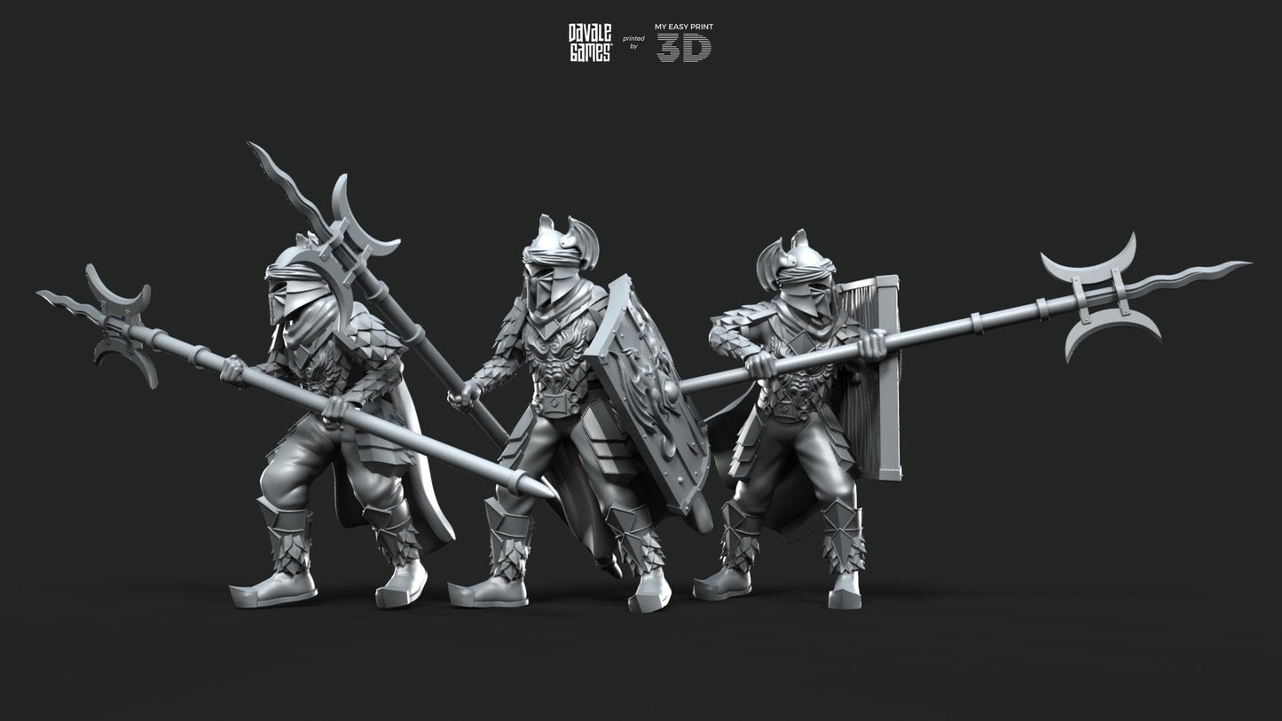 Dragon Army Elite Pikemen and Shield - Davale Games - 3D Printed with high quality resin for LOTR/D&D games