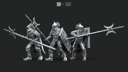Dragon Army Elite Pikemen and Shield - Davale Games - 3D Printed with high quality resin for LOTR/D&D games
