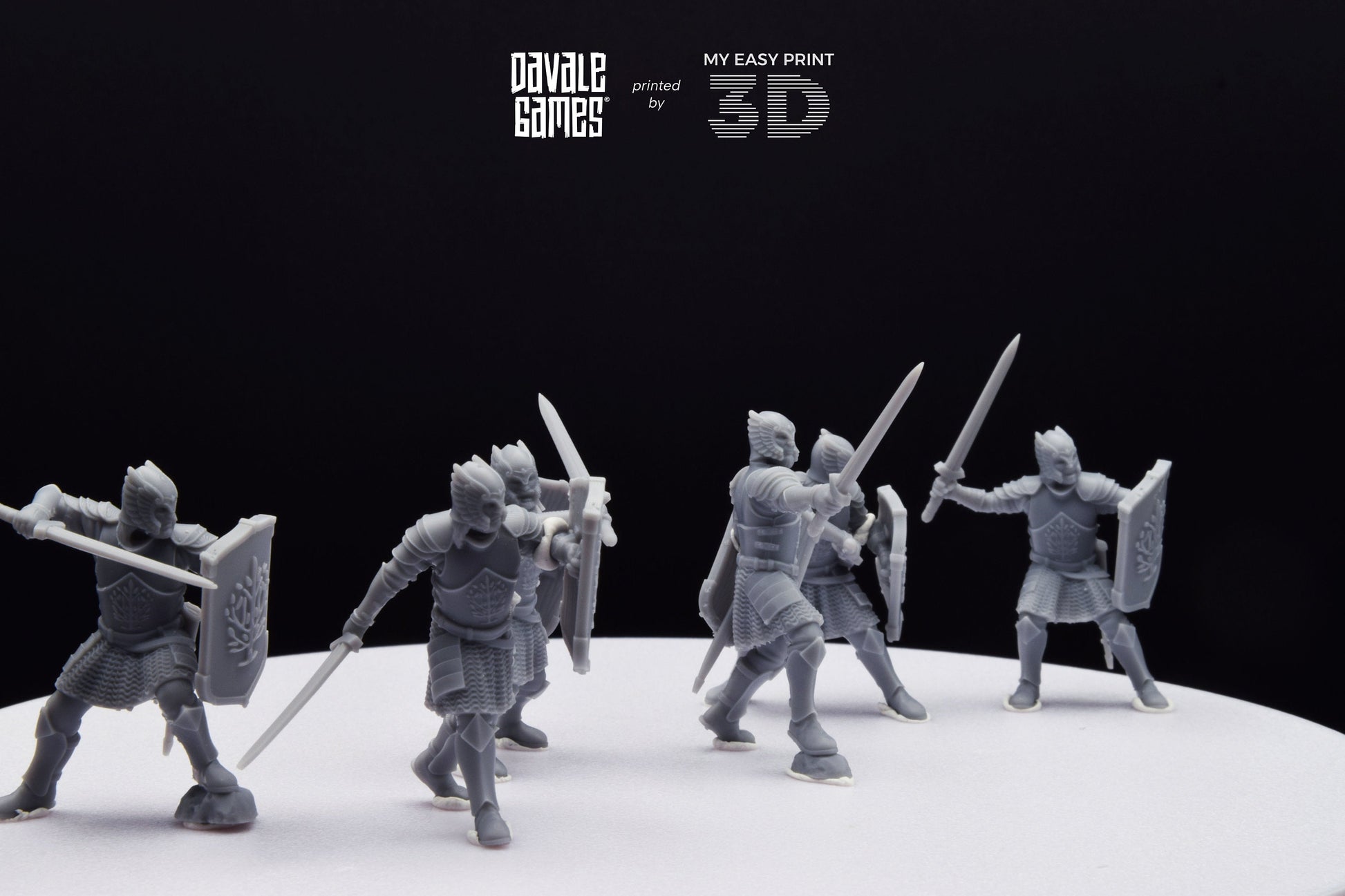 Grey Castle Warriors with swords - Davale Games - 3D Printed with high quality resin for LOTR/D&D games