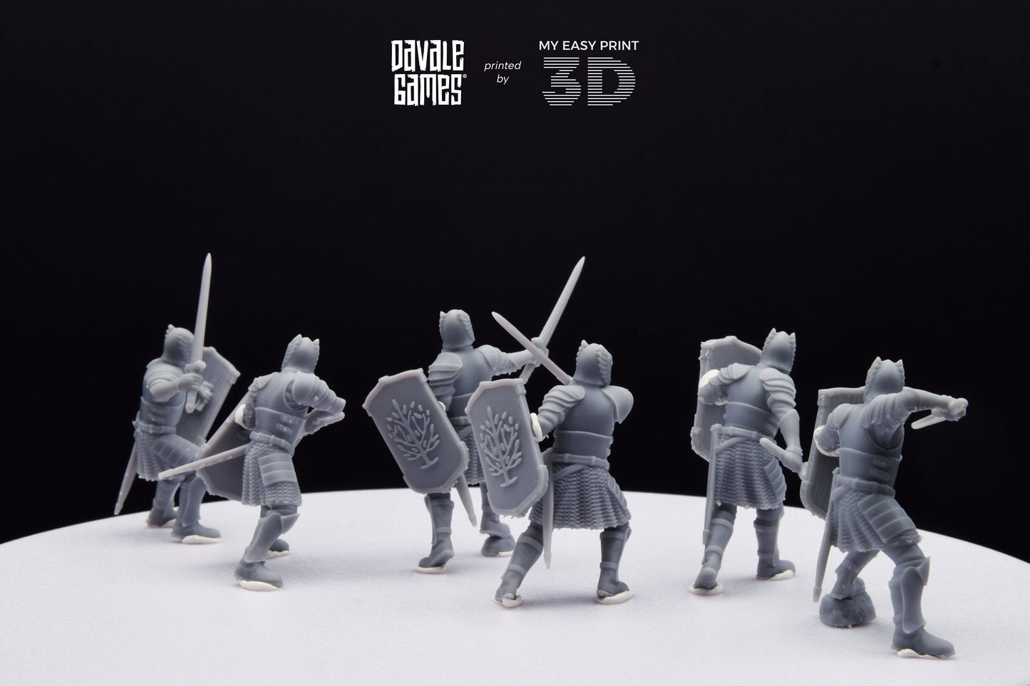 Grey Castle Warriors with swords - Davale Games - 3D Printed with high quality resin for LOTR/D&D games
