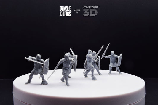 Grey Castle Warriors with swords - Davale Games - 3D Printed with high quality resin for LOTR/D&D games
