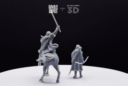 Captain of the Grey Castle - Foot and Mounted - Davale Games - 3D Printed with high quality resin for LOTR/D&D games