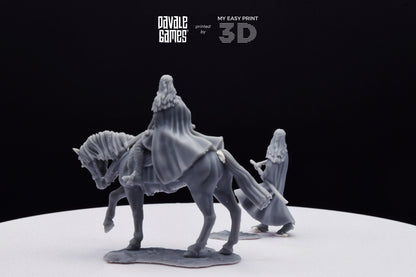 Bloody Elf Maiden - Foot and Mounted - Davale Games - 3D Printed with high quality resin for LOTR/D&D games