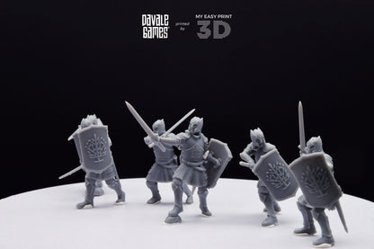 Grey Castle Warriors with swords - Davale Games - 3D Printed with high quality resin for LOTR/D&D games