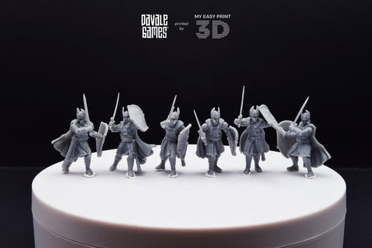 Old High Human Warriors Swordmen - Davale Games - 3D Printed with high quality resin for LOTR/D&D games