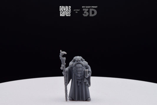 Flea Stonestaff - Davale Games - 3D Printed with high quality resin for LOTR/D&D games