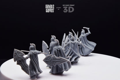 Bloody Elf with Sword and Shield - Davale Games - 3D Printed with high quality resin for LOTR/D&D games