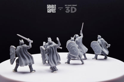 High Human Warrior with Sword and Shield - Davale Games - 3D Printed with high quality resin for LOTR/D&D games