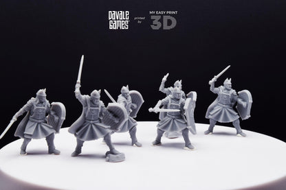 High Human Warrior with Sword and Shield - Davale Games - 3D Printed with high quality resin for LOTR/D&D games