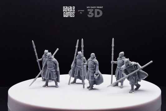 Grey Castle Court Guards with Spear - Foot - Davale Games - 3D Printed with high quality resin for LOTR/D&D games