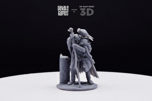 Odin&#39;s Shaman - Davale Games - Mythological games - 3D Printed with high quality resin