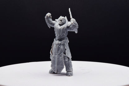 Gears Of War General Raam Ot Miniature - NEOYGEO - 3D Printed with high quality resin for Skirmish/D&D games