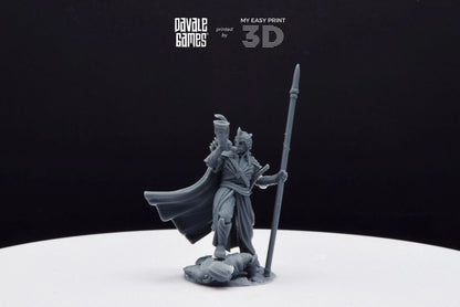 Galanthir Elves Warrior with Horn and Spear - Davale Games - 3D Printed with high quality resin for LOTR/D&D games