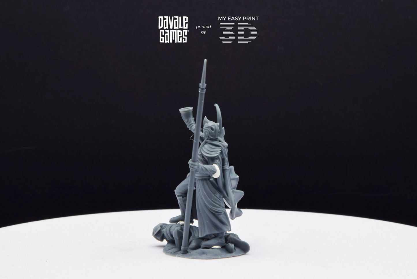 Galanthir Elves Warrior with Horn and Spear - Davale Games - 3D Printed with high quality resin for LOTR/D&D games