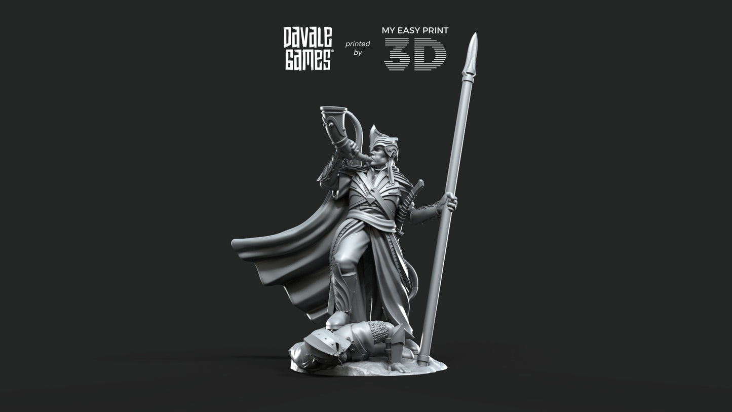 Galanthir Elves Warrior with Horn and Spear - Davale Games - 3D Printed with high quality resin for LOTR/D&D games