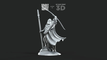 White Swan - Danher on foot - Davale Games - 3D Printed with high quality resin for LOTR/D&D games
