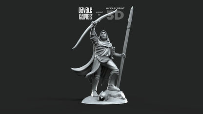 White Swan - Danher on foot - Davale Games - 3D Printed with high quality resin for LOTR/D&D games