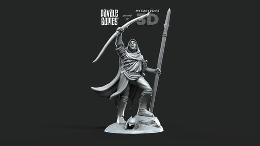 White Swan - Danher on foot - Davale Games - 3D Printed with high quality resin for LOTR/D&D games