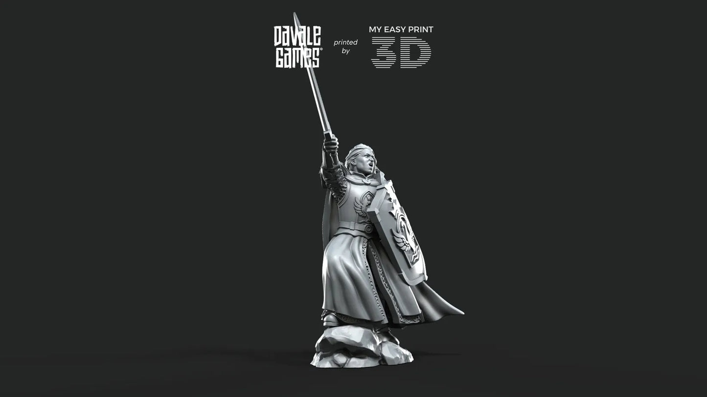 White Swan - Swan Warrior Captain - Davale Games - 3D Printed with high quality resin for LOTR/D&D games