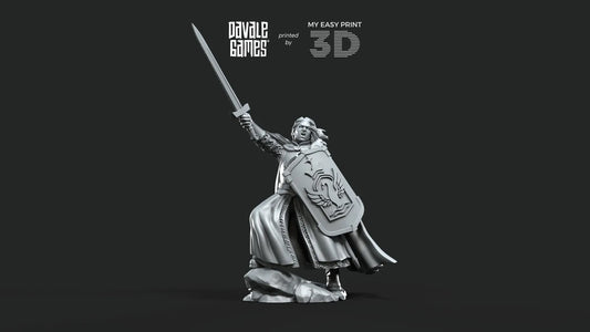 White Swan - Swan Warrior Captain - Davale Games - 3D Printed with high quality resin for LOTR/D&D games