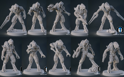 Halo Arbiter Miniatures - Galactic Armory - 3D Printed with High Quality Resin for Wargame/Skirmish/D&D