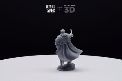 Last king from the North - Davale Games - 3D Printed with high quality resin for LOTR/D&D games