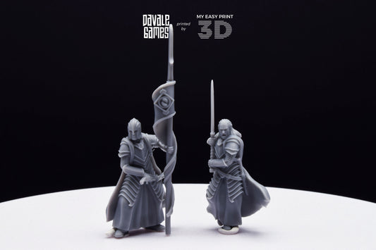 Bloody Elf Commander - Davale Games - 3D Printed with high quality resin for LOTR/D&D games