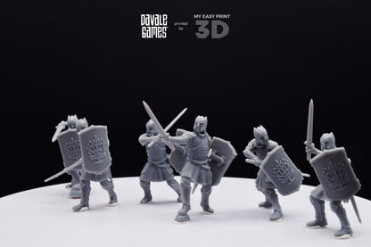 Grey Castle Warriors with swords - Davale Games - 3D Printed with high quality resin for LOTR/D&D games